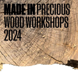 futurprimitiv by Evey Kwong