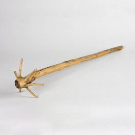  futurprimitiv by Evey Kwong