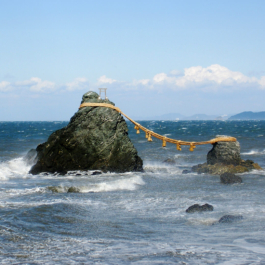 futurprimitiv by Evey Kwong