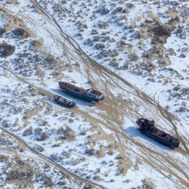 futurprimitiv by Evey Kwong