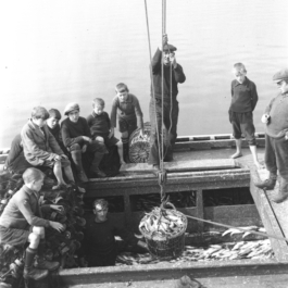 futurprimitiv by Evey Kwong