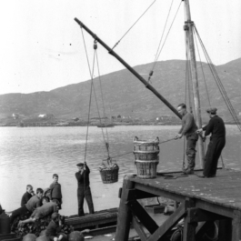 futurprimitiv by Evey Kwong