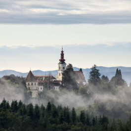 futurprimitiv by Evey Kwong