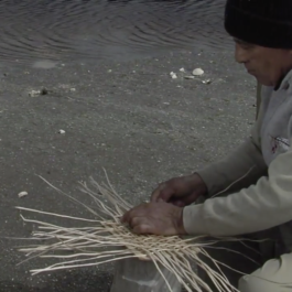  futurprimitiv by Evey Kwong