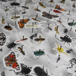 futurprimitiv by Evey Kwong