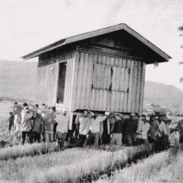  futurprimitiv by Evey Kwong