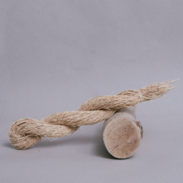  futurprimitiv by Evey Kwong