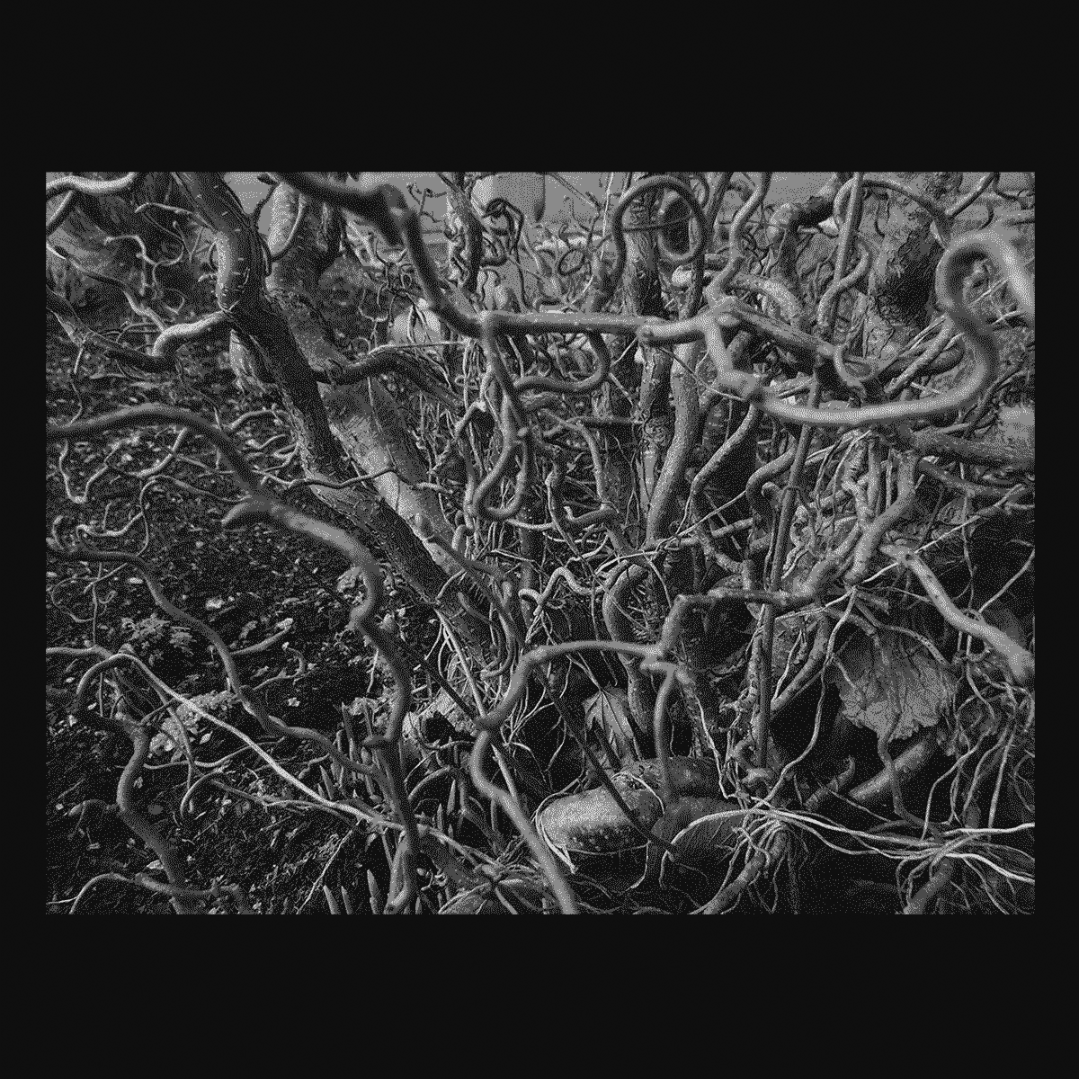 futurprimitiv by Evey Kwong