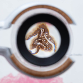 futurprimitiv by Evey Kwong