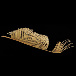  futurprimitiv by Evey Kwong