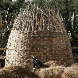  futurprimitiv by Evey Kwong