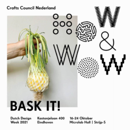  futurprimitiv by Evey Kwong