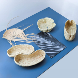  futurprimitiv by Evey Kwong