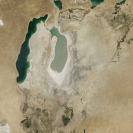 futurprimitiv by Evey Kwong