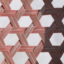  futurprimitiv by Evey Kwong