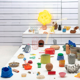  futurprimitiv by Evey Kwong