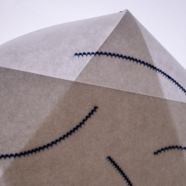  futurprimitiv by Evey Kwong