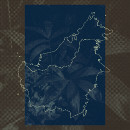 futurprimitiv by Evey Kwong