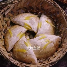  futurprimitiv by Evey Kwong