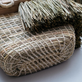 futurprimitiv by Evey Kwong