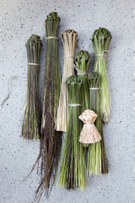  futurprimitiv by Evey Kwong