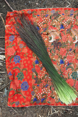  futurprimitiv by Evey Kwong