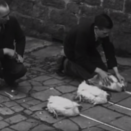  futurprimitiv by Evey Kwong