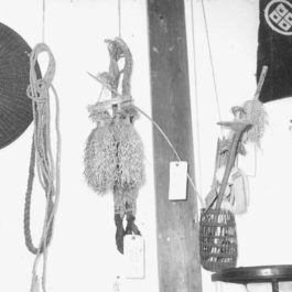 futurprimitiv by Evey Kwong