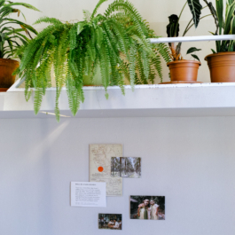 futurprimitiv by Evey Kwong