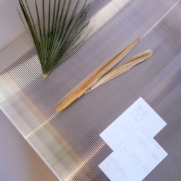 futurprimitiv by Evey Kwong