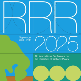  futurprimitiv by Evey Kwong