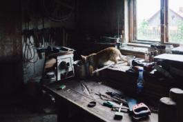 futurprimitiv by Evey Kwong