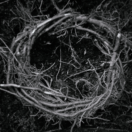  futurprimitiv by Evey Kwong