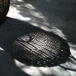  futurprimitiv by Evey Kwong