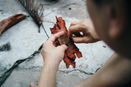  futurprimitiv by Evey Kwong