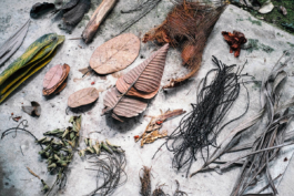  futurprimitiv by Evey Kwong