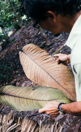  futurprimitiv by Evey Kwong