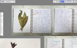 futurprimitiv by Evey Kwong