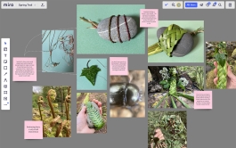 futurprimitiv by Evey Kwong