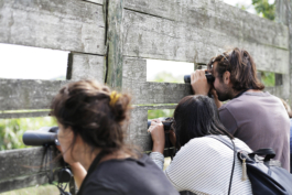 futurprimitiv by Evey Kwong