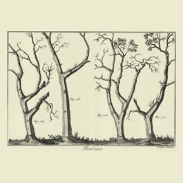 futurprimitiv by Evey Kwong