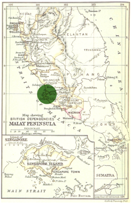  futurprimitiv by Evey Kwong