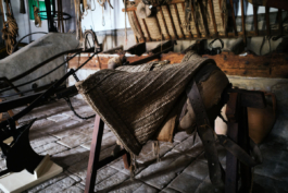  futurprimitiv by Evey Kwong