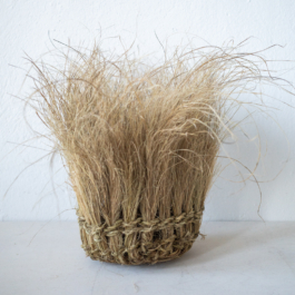  futurprimitiv by Evey Kwong