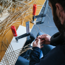  futurprimitiv by Evey Kwong