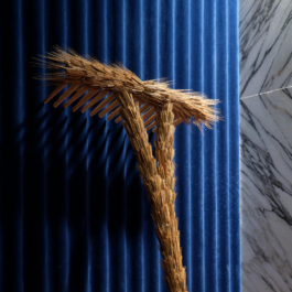  futurprimitiv by Evey Kwong