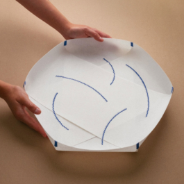  futurprimitiv by Evey Kwong