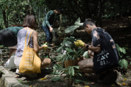 futurprimitiv by Evey Kwong