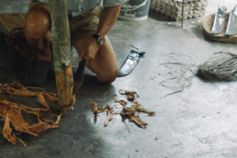 futurprimitiv by Evey Kwong