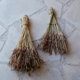  futurprimitiv by Evey Kwong